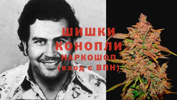 дурь Елизово